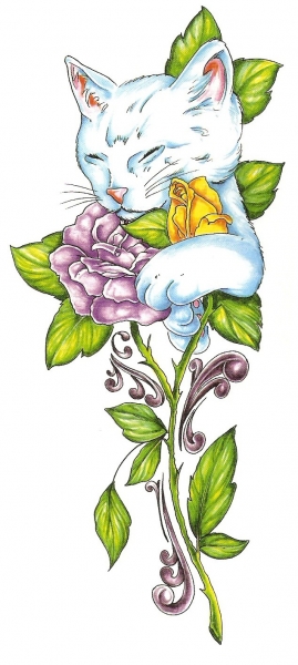 Card image cap
